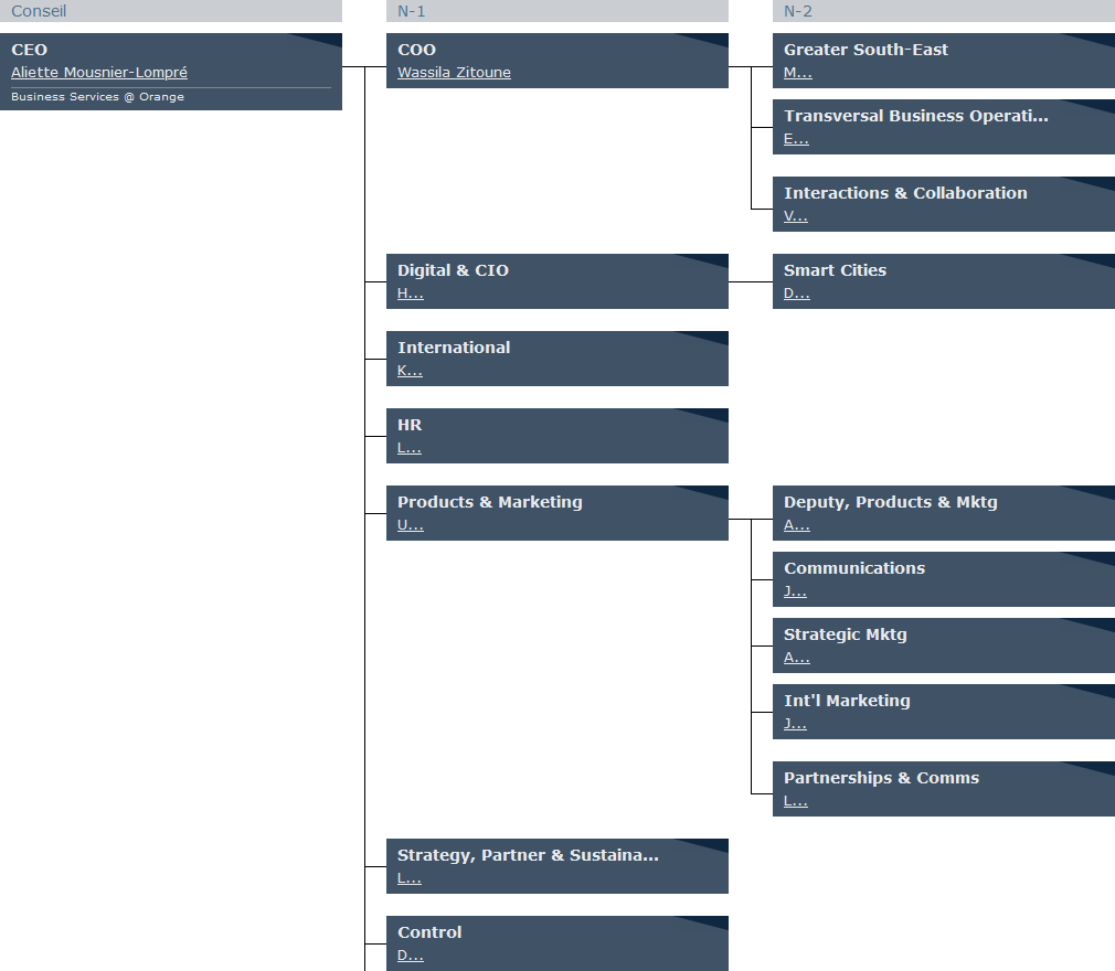 Organigramme Orange Business Services 1